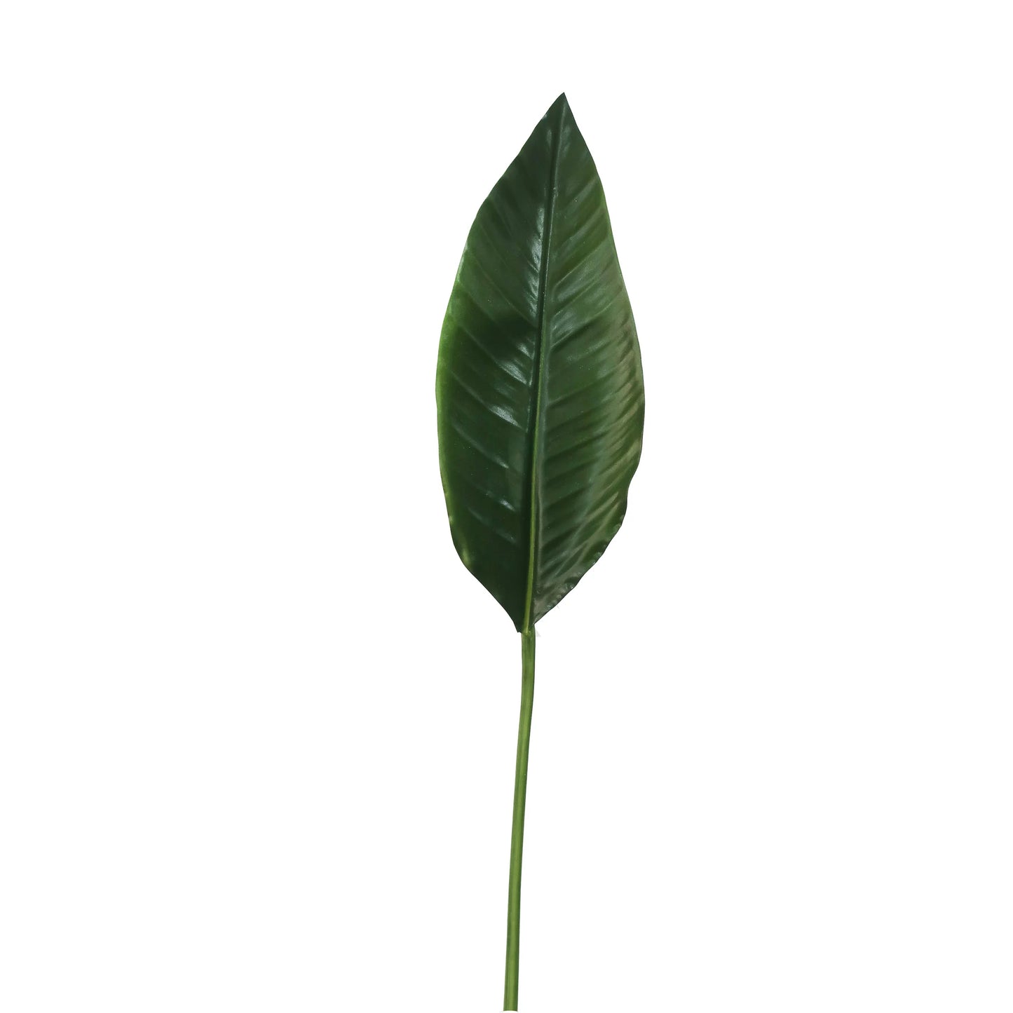 Bird of Paradise Leaf 38"