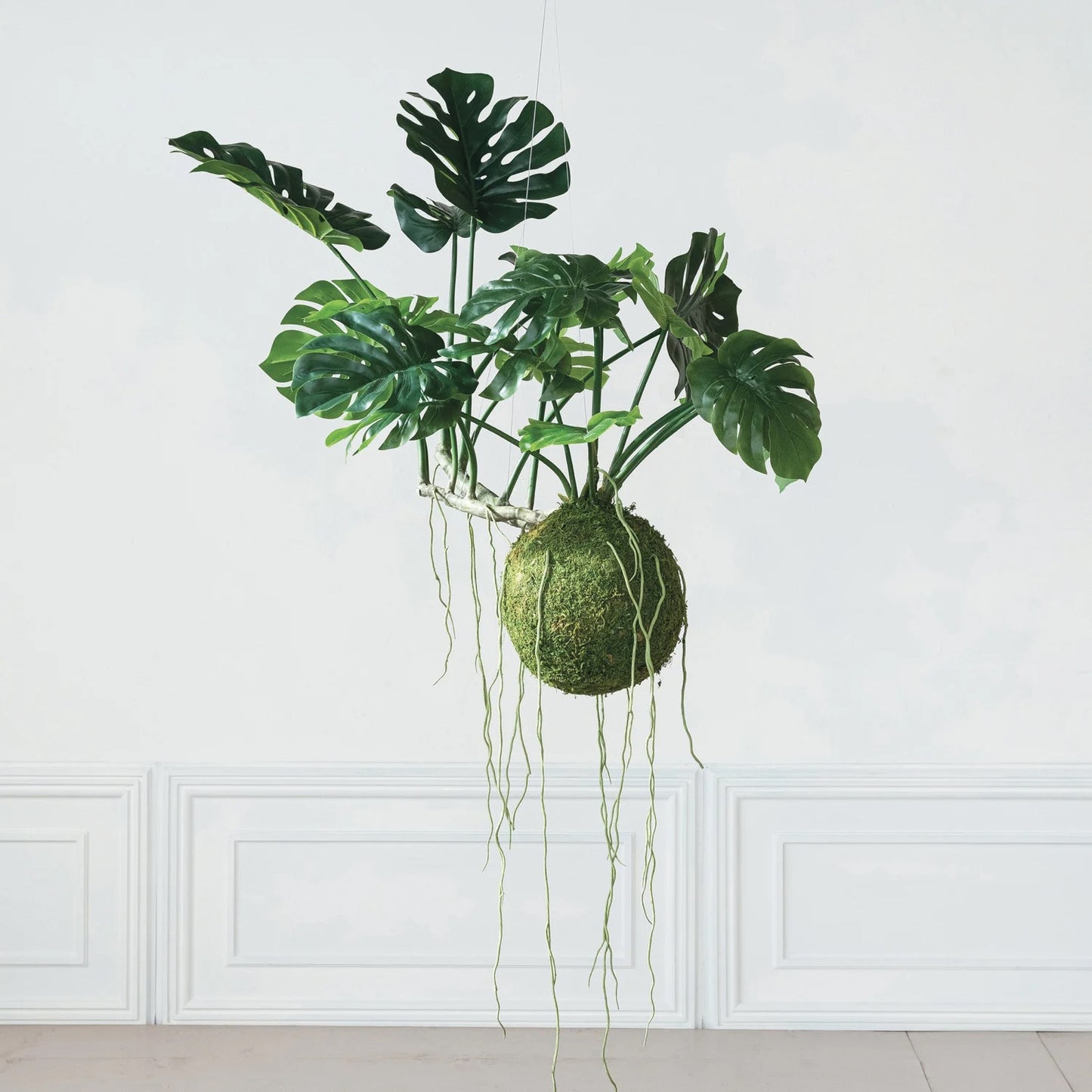 Hanging Monstera Kokedama Small