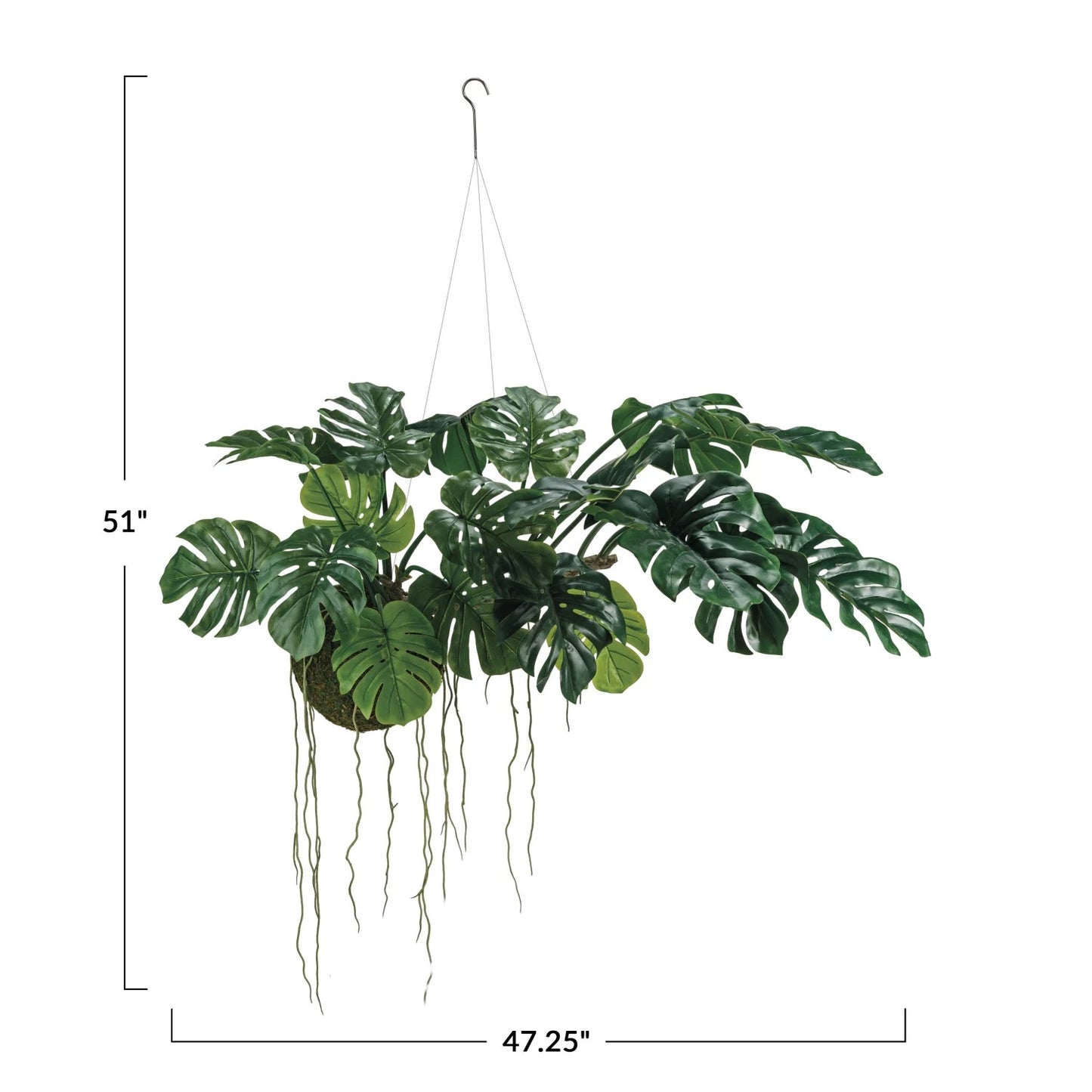 Hanging Monstera Kokedama Small