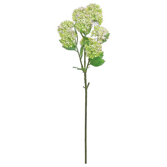 Snowball Hydrangea Green 21"