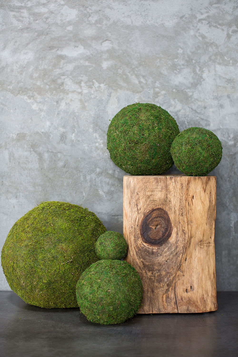 Dried Moss Balls - Preserved - 2-12 inch diameter