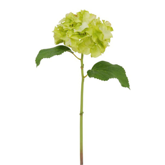 Hydrangea Stem Light Green 18.5"