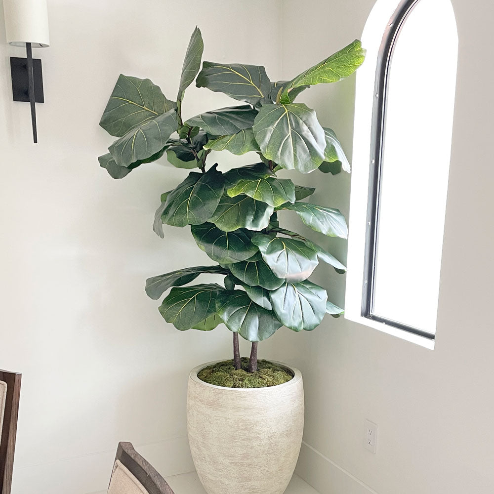 Artificial fiddle leaf store fig tree