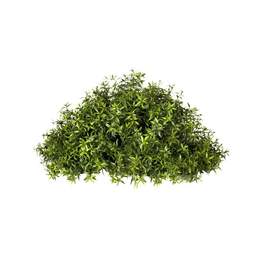 Myrtle Half Ball Topiary 18"