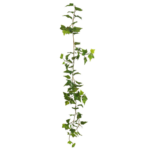 English Ivy Garland 6'