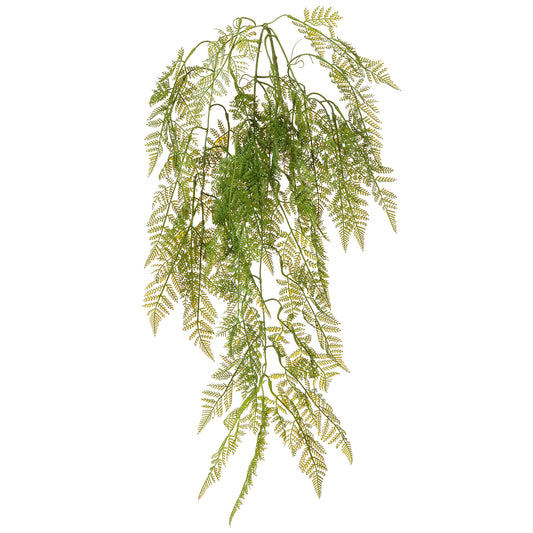 Hanging Feather Fern 42"