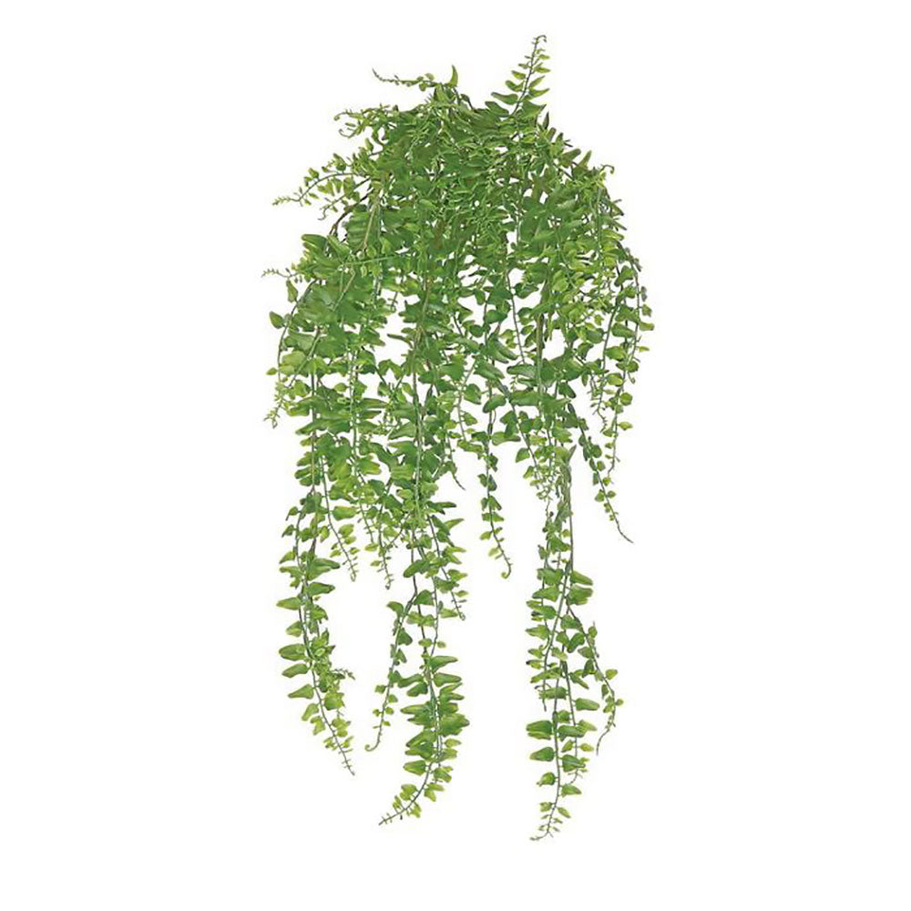 Hanging Forest Fern 26"