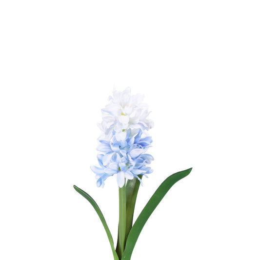 Hyacinth Stem Blue 13"