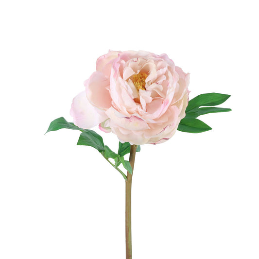 Peony Stem 23" Blush