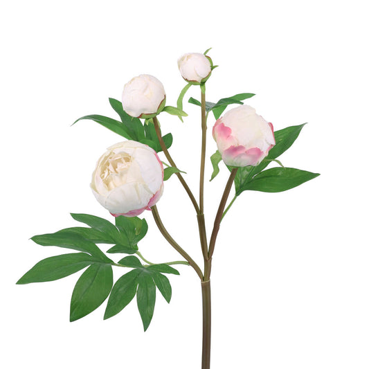 Peony Buds Stem 25" Ivory